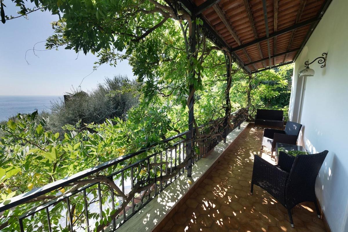Villa Marinella Close To The Sea With Private Pool Nerano Dış mekan fotoğraf